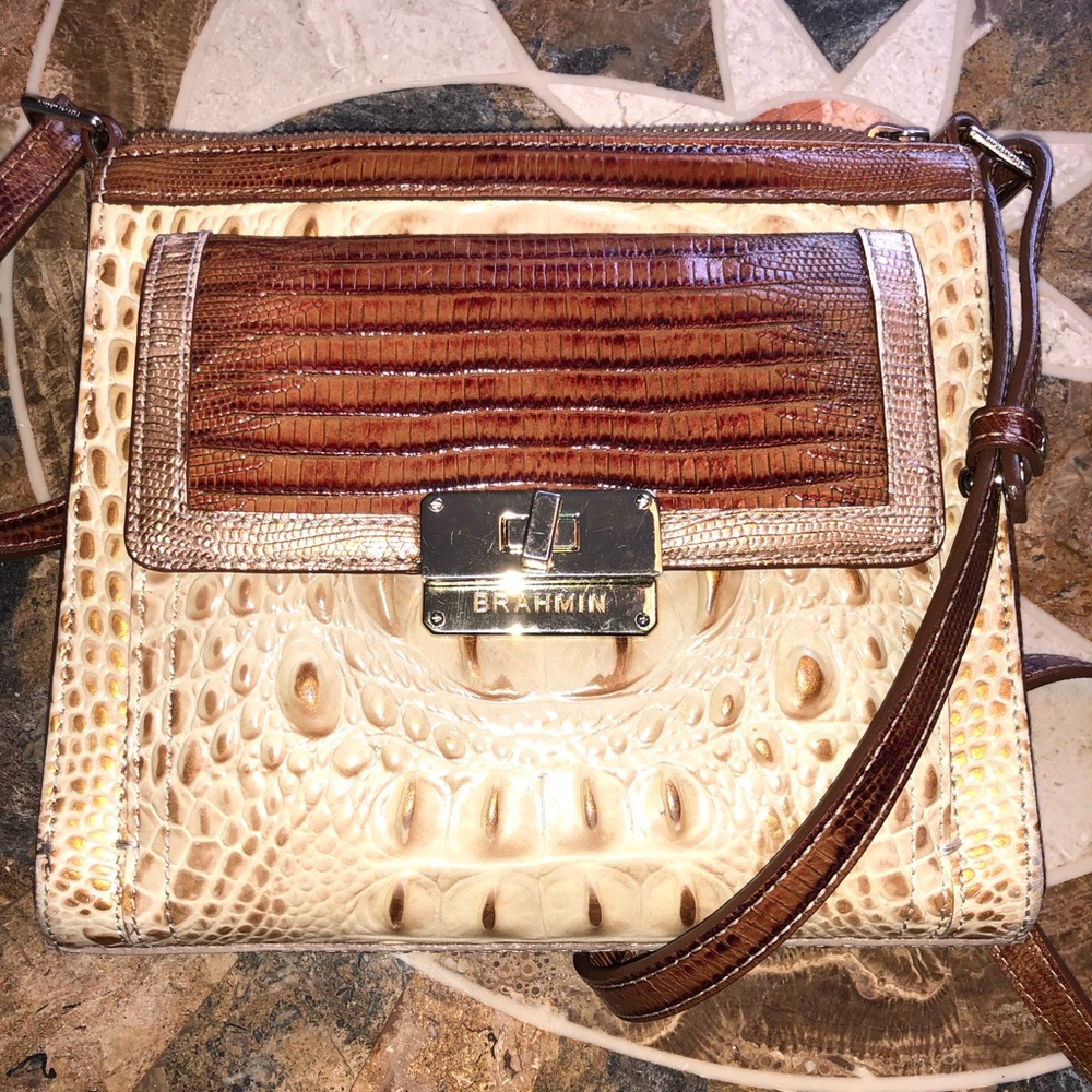 Cross Body Brahmin Organizer Purse